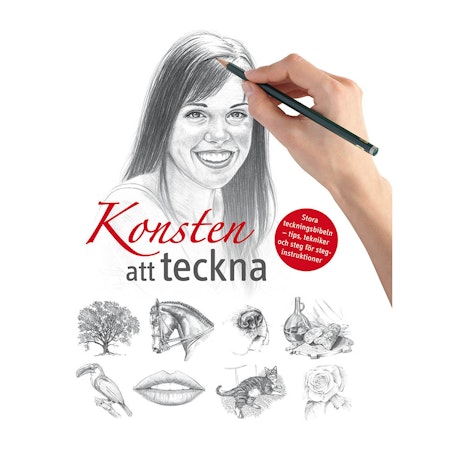 Konsten att teckna-Stora teckningsbibeln