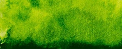 Renesans-extrafine watercolours in tubes 15 ml-40-SAP GREEN