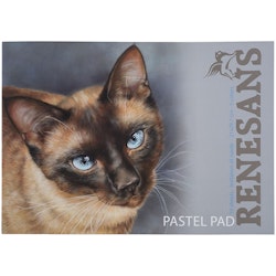 Renesans-pastell pad block 10 st mocka-ark i 5 färger-A4