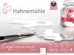 Hahnemuhle Expression 300g CP-30x40cm 20ark