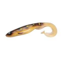 Gator Catfish SpottedBullhead 25cm