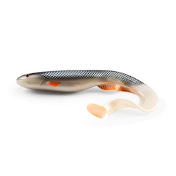 Gator Catfish Roach 25cm