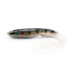 Gator Catfish Ghost Perch 40cm