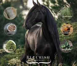 Flourish Horse Health EVOLVE - Foderluckan