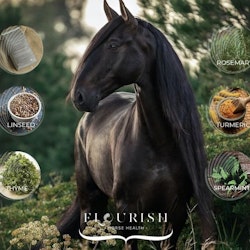 Flourish Horse Health EVOLVE - Foderluckan