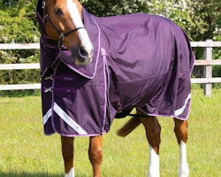 Premier Equine Buster 70g Turnout Rug with Classic Neck Cover Purple B