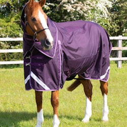 Premier Equine Buster 70g Turnout Rug with Classic Neck Cover Purple B