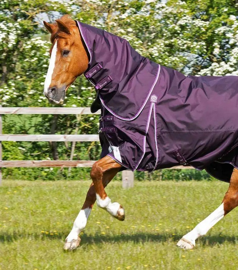 Premier Equine Buster 70g Turnout Rug with Classic Neck Cover Purple B