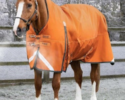 Premier Equine Buster Hardy 200g Half Neck Turnout Rug