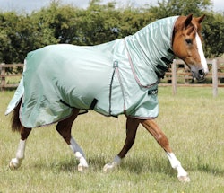 Premier Equine Combo Mesh Air Fly Rug with Surcingles B