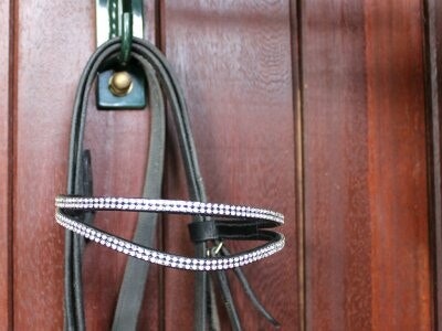 Mink Horse elegant pannband