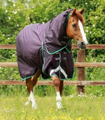 FODERLUCKAN - PREMIER EQUINE Buster 200g Turnout Rug with Snug-Fit Neck  Cover - Foderluckan