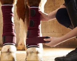 Premier Equine Quick Dry Leg Wraps