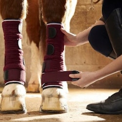 Premier Equine Quick Dry Leg Wraps