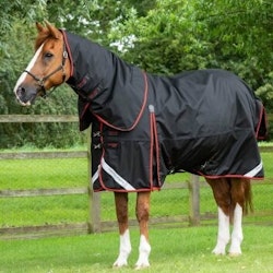 Premier Equine Buster 420g Turnout Rug with Classic Neck Cover Black B