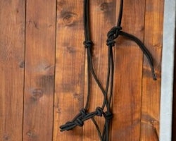 ATW All That Training Rope Halter