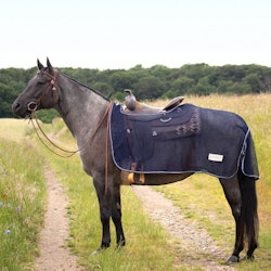 COMFORT Western fly exercise