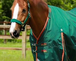 Premier Equine Buster Zero Turnout Rug with Classic Neck Cover Green B