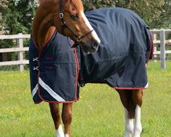 Premier Equine Buster 150g Turnout Rug with Classic Neck Cover Navy B
