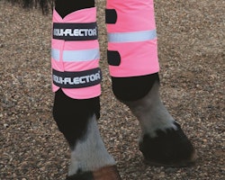 Equi-Flector® Reflexwraps