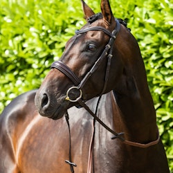 Premier Equine Verdura Anatomic Snaffle Bridle