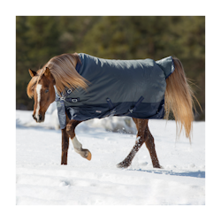 Busse Turnout Rug Active PRO 150