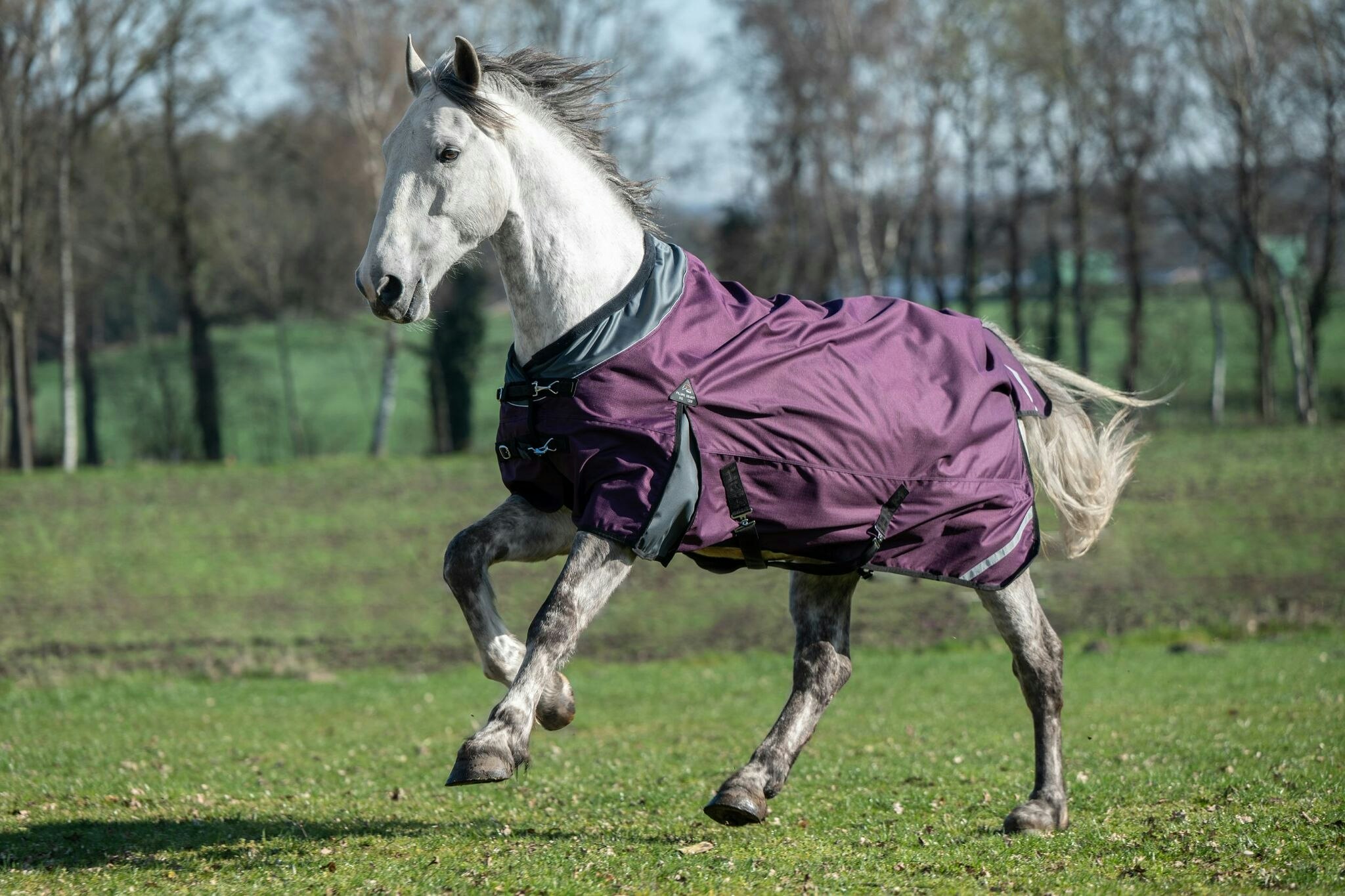 HKM turnout rug Liberty  1200D 200 g Winered/Grey