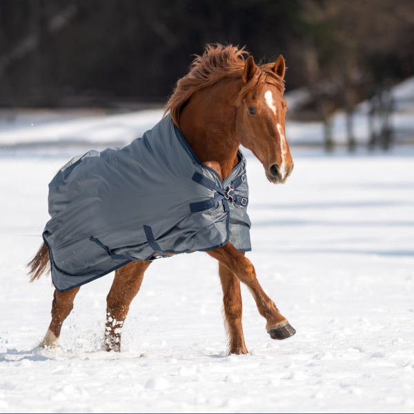 Busse Turnout Rug Windchill 00