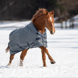 Busse Turnout Rug Windchill 00