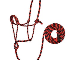 Weaver Braided Ropehalter Red/Black