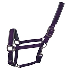 Woof Wear Contour Head Collar Damson