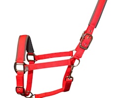 Woof Wear Contour Head Collar Royal Red