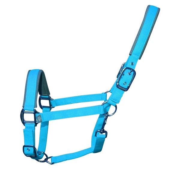 Woof Wear Contour Head Collar Turquoise