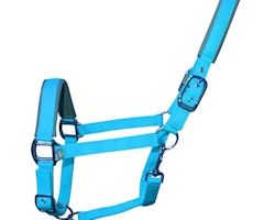 Woof Wear Contour Head Collar Turquoise