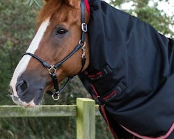 Premier Equine Titan 100g Turnout Rug with Snug-Fit Neck Cover Black B