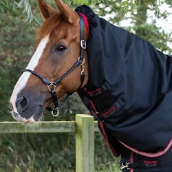 Premier Equine Titan 100g Turnout Rug with Snug-Fit Neck Cover Black B