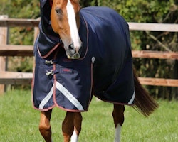 Premier Equine Titan 100g Turnout Rug with Snug-Fit Neck Cover Navy B