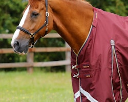 Premier Equine Buster Zero Turnout Rug with Classic Neck Cover Burgundy B