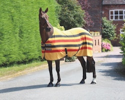 Shires Tempest Newmarket fleecetäcke Golden Stripes