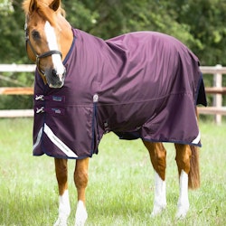 Premier Equine Titan 200g Original Turnout Rug purple B