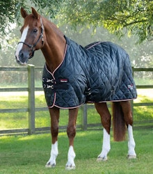 Premier Equine Tuscan Stable Rug 100 g Black