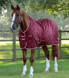 Premier Equine Tuscan Stable Rug 100g wine B