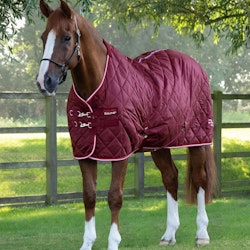 Premier Equine Tuscan Stable Rug 100g wine B