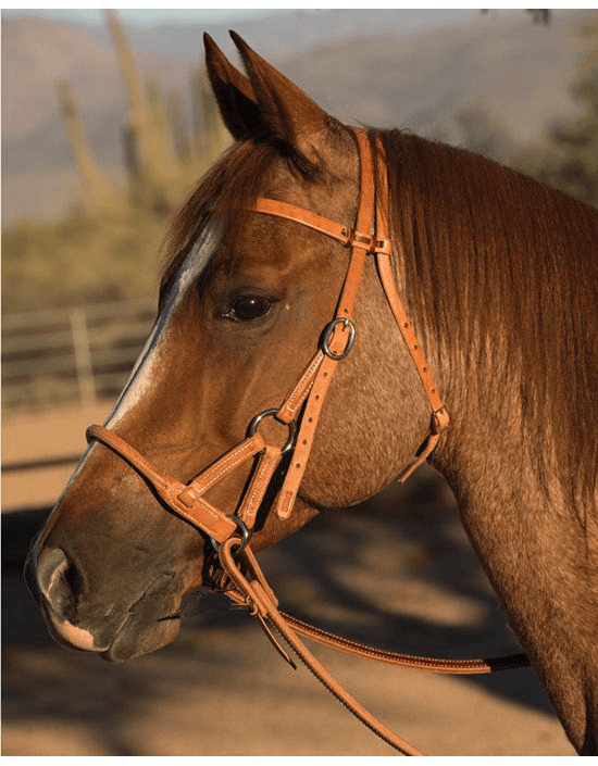 Round leather nose side pull