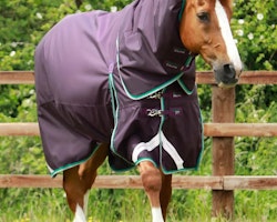 Premier Equine Buster 200g Turnout Rug with Snug-Fit Neck Cover Purple B