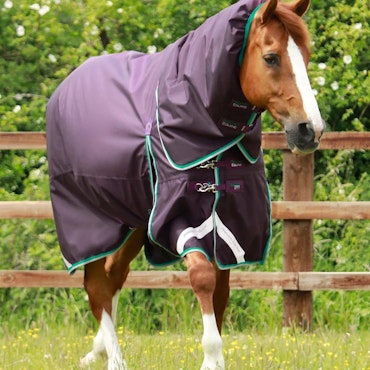 Premier Equine Buster 200g Turnout Rug with Snug-Fit Neck Cover Purple B