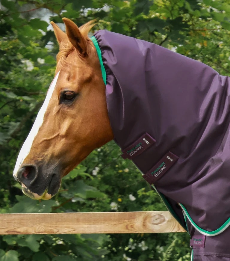 Premier Equine Buster 200g Turnout Rug with Snug-Fit Neck Cover Purple B