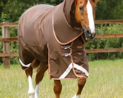 Premier Equine Titan 300g Turnout Rug with Snug-Fit Neck Cover brown B