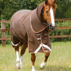 Premier Equine Titan 300g Turnout Rug with Snug-Fit Neck Cover brown B