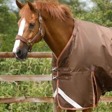 Premier Equine Titan 300g Turnout Rug with Snug-Fit Neck Cover brown B